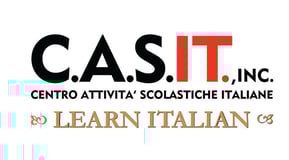 C.A.S.IT., Inc. logo
