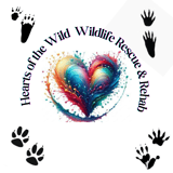 Hearts of the Wild Rehab logo