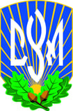 UKRAINIAN AMERICAN YOUTH ASSOCIATION logo