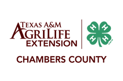 Texas A&M University logo