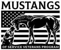 Mustang Adoption Academy Corporation logo
