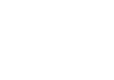 The Stone Foundation logo
