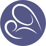 Critical Relief for Children logo
