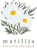 Matilija Escuela Bosque logo