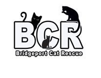 Bridgeport Cat Rescue logo
