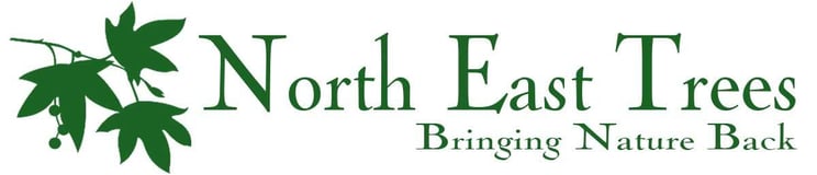 NORTH EAST TREES, INC logo