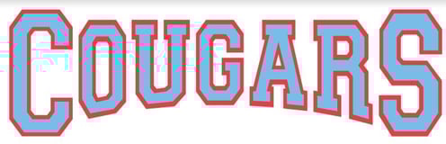 Charlotte Catholic High School Athletic Booster Club logo