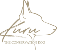 Kuru the Conservation Dog logo