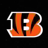 Jungle Boys 8U (PPO BENGALS) logo
