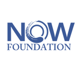 Now Foundation logo