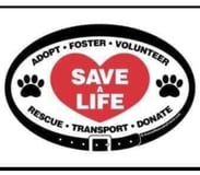 Margaret Burlingham logo