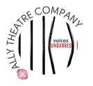 Ally Theatre Company Inc logo