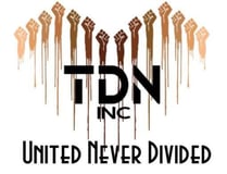 Taunton Diversity Network Inc logo
