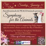 SayulitAnimals & PEACEAnimals - Banderas Bay Charities, Inc logo