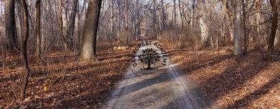 Oak Forest Academy logo