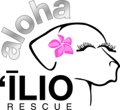 Aloha 'Ilio Rescue logo
