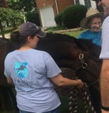 Foxfire Eventing, INC logo