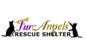 Fur Angels Rescue Shelter logo