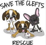 Save the Clefts Rescue logo