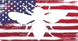 Hives for Heroes logo