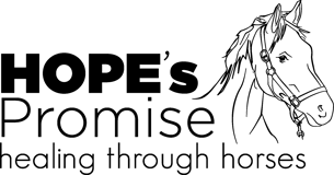 Hopes Promise Charitable Fund Inc logo