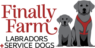 Finally Farm Labradors & Service Dogs logo
