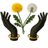 Ministry of Neteru Temple logo