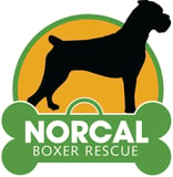 Norcal Boxer Rescue logo