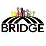 Building Resilience Inclusion Diversity & Growth thru Education (BRIDGE) logo