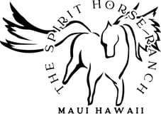 The Spirit Horse Ranch Inc logo