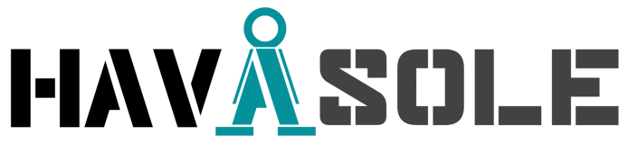 Hav A Sole logo