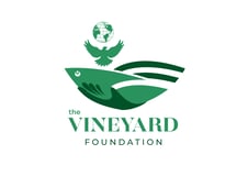 The Vineyard Foundation logo