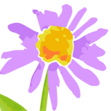 Aster Montessori School Inc logo