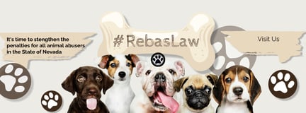 Reba's Law logo