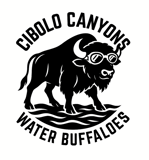 Maverick Summer Swim League logo