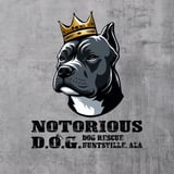 Notorious D O G Dog Rescue logo