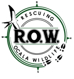 Rescuing Ocala Wildlife (ROW) logo