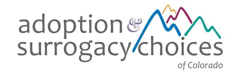 Adoption Choices Inc logo