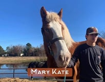 BFG Horse Rescue logo