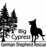 Big Cypress German Shepherd Rescue Inc logo