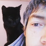 Gentle Heart Animal Advocacy logo