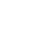 Faces of Impact Foundation logo