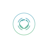 FSL FOUNDATION INC logo