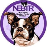 Northeast Boston Terrier Rescue logo