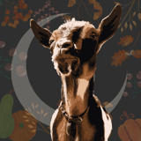 Hollow Moon Sanctuary logo