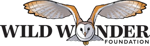 Wild Wonder Foundation logo
