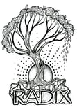 Radix Vocal Ensemble logo