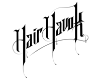 Hair Havok Salon logo