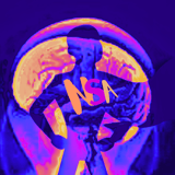 Neurospicy SA logo