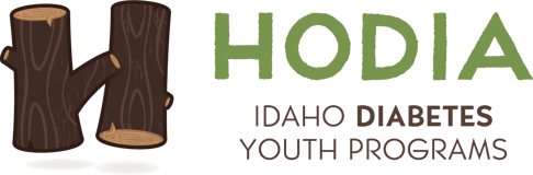Idaho Diabetes Youth Programs Inc logo